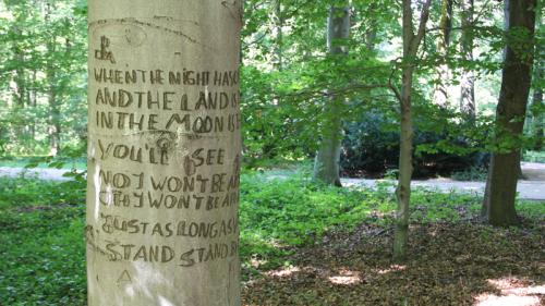 Места для посещения в Берлине: Tiergarten Tree